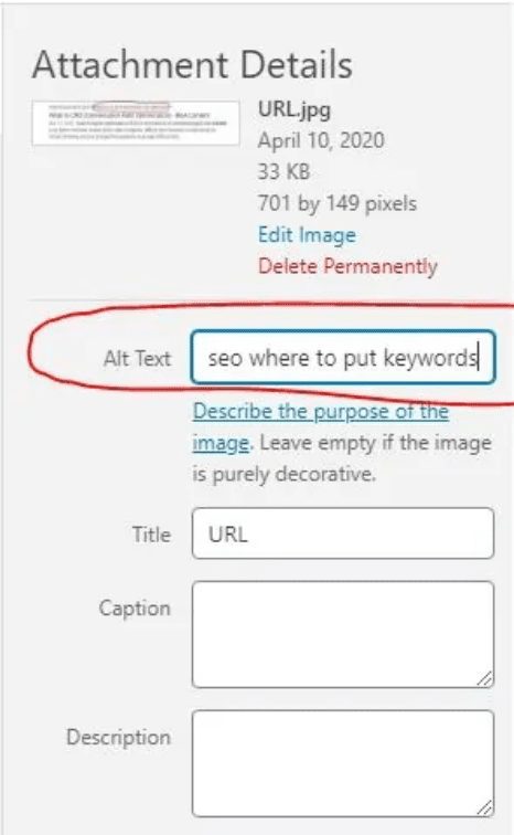 SEO Keywords in Alt Tags