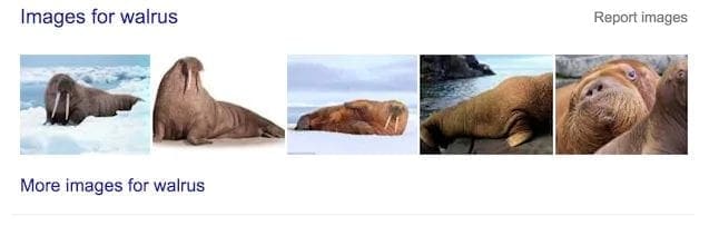 Learn About The SERP Features That Will Boost Your Visibility 9 Image Pack