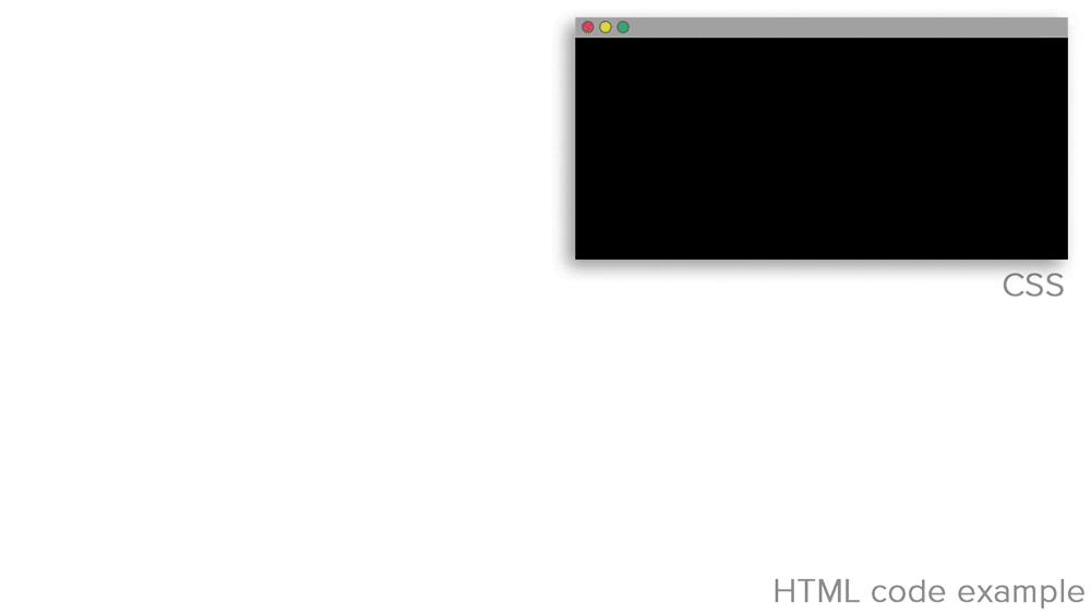 coding from scratch