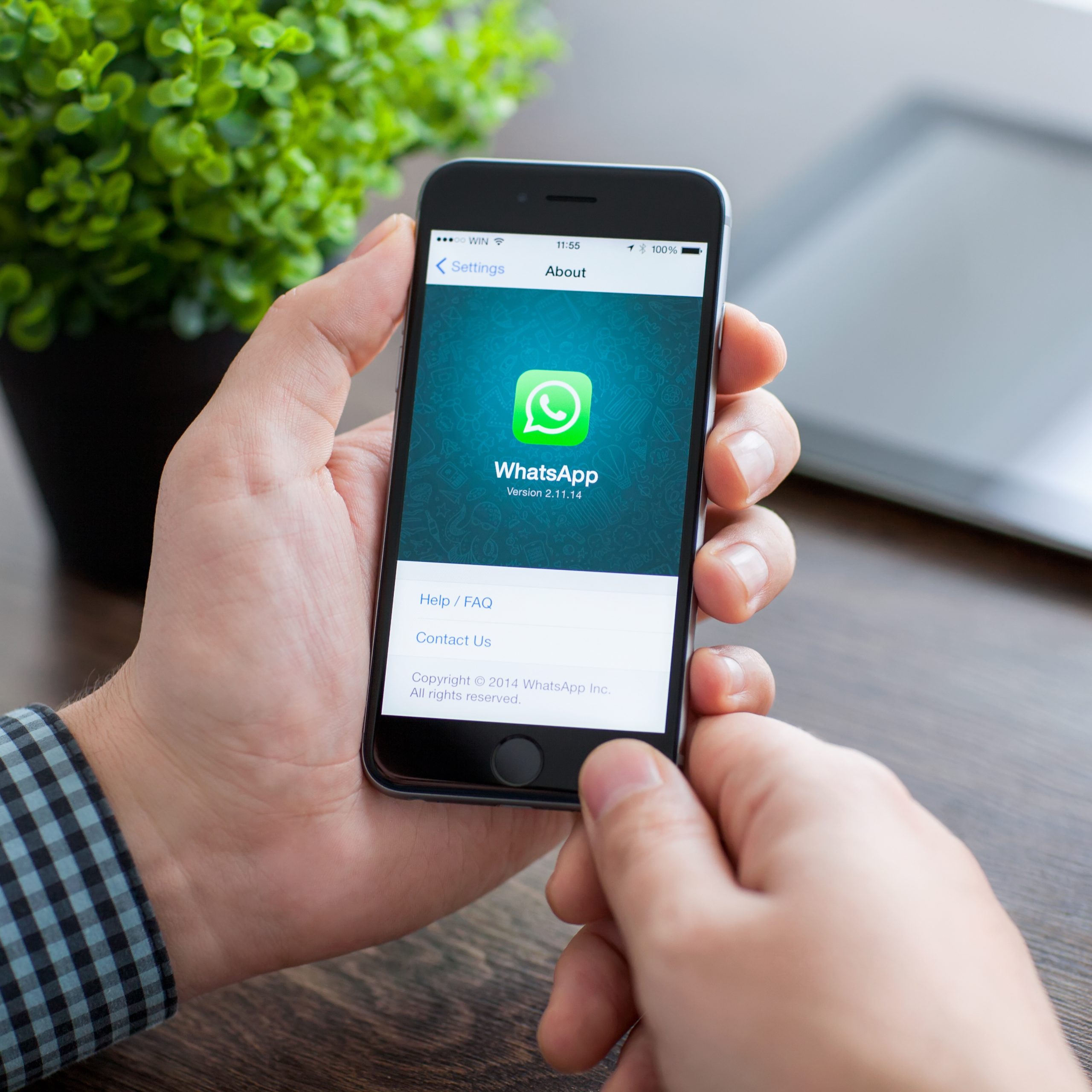 whatsapp