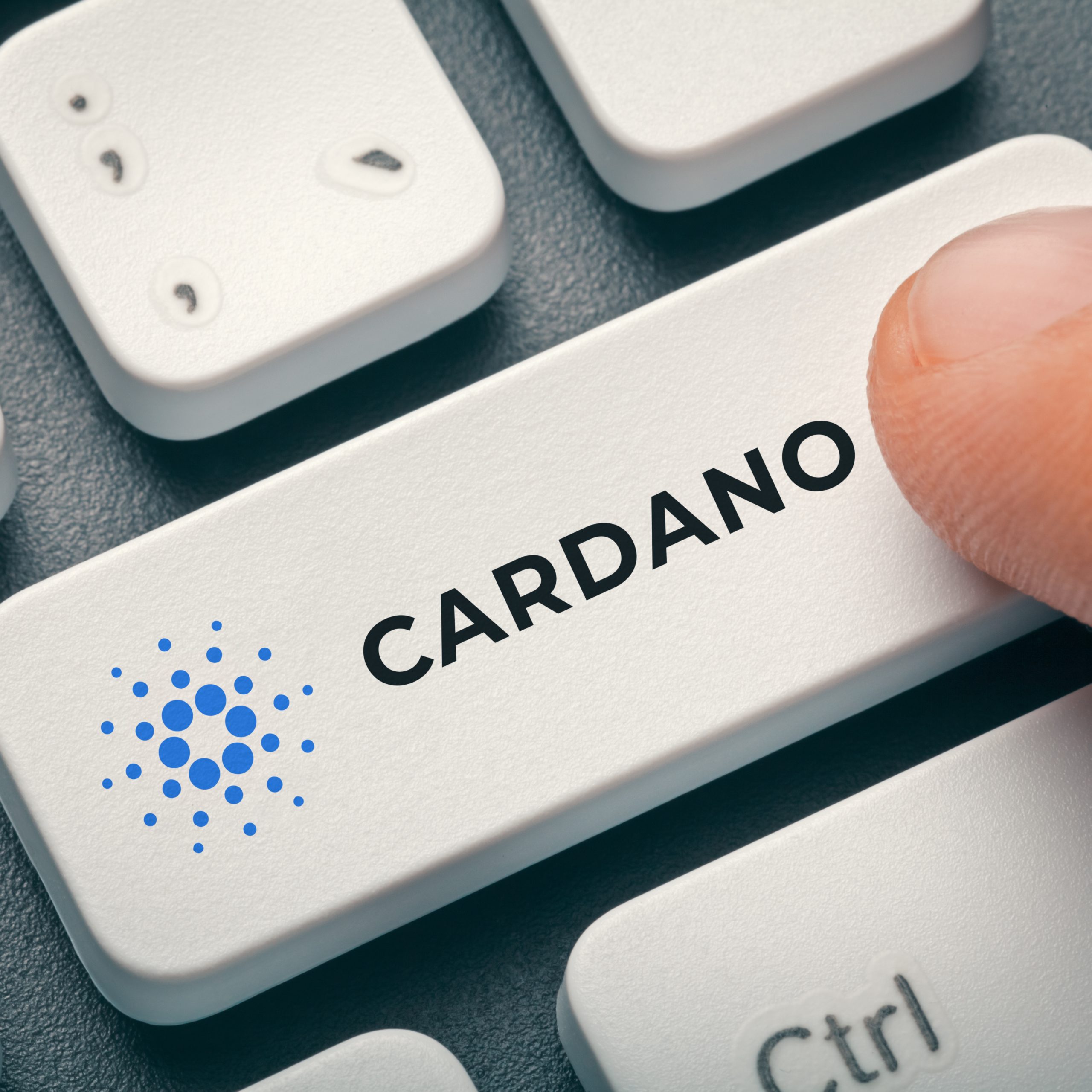 cardano